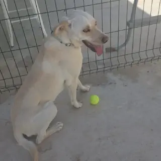 Max
