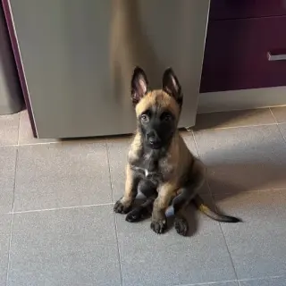 Ragnar
