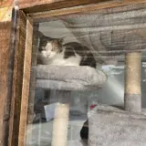 Adopta a Luna
