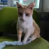 Adopta a Jeremias