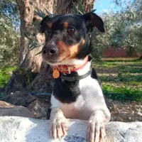 Adopta a Lola