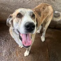 Adopta a Natura