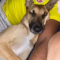 Adopta a Kira