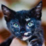 Adopta a Kyra