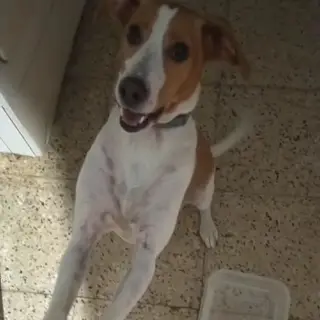 Tina