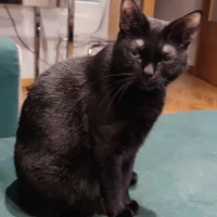 Adopta a Mira y Moka