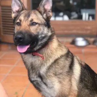 Marco