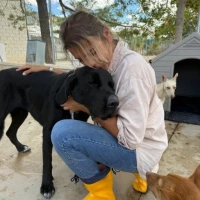 Adopta a Sombra-- Tamaño Grande, Tlf 645978718