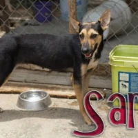 Adopta a Sara
