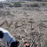 Adopta a India