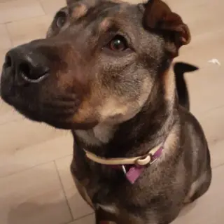 Keila