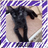 Adopta a José Luis