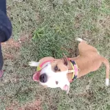 Adopta a Hannah