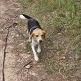 Adopta a Gambia