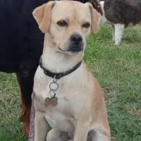 Adopta a Titan