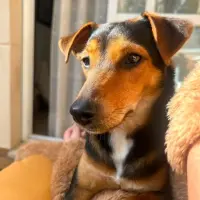 Adopta a Bebé