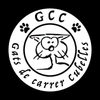 Gats De Carrer Cubelles