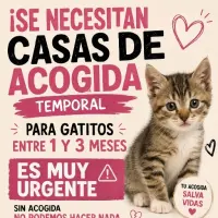 Adopta a Casas De Acogida