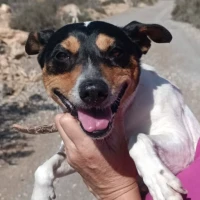 Adopta a Úrsula