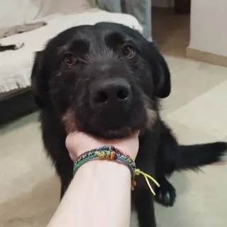 Blacky