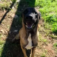 Adopta a Kaiser