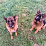 Adopta a Reina Y Pataki