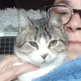 Adopta a Artico