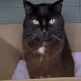 Adopta a Carbón