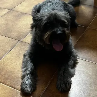 Lluna