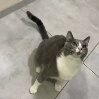 Kero