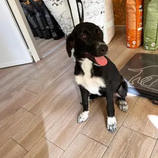 Keka
