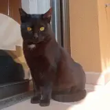 Adopta a Júlia