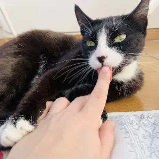Bianca (Michi)
