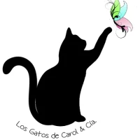 Los Gatos de Carol & Cia