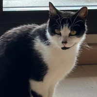 Adopta a Mami Peques