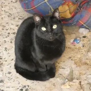 Una