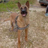 Adopta a Lenda