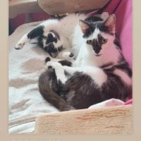 Adopta a Mimosa Y Trasto