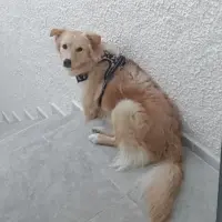 Adopta a Nati