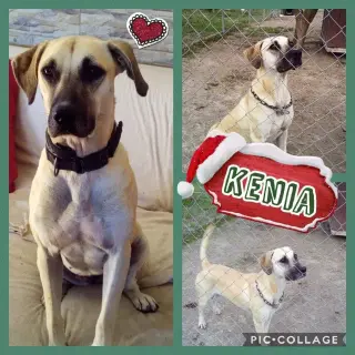 Kenia