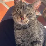 Adopta a Min
