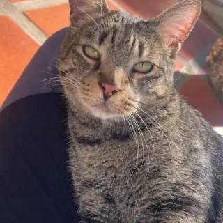 Min