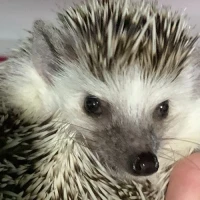 Adopta a Dona Ericita Residente