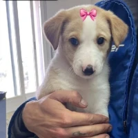 Adopta a Marina