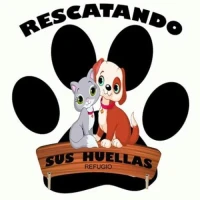 Rescatando Sus Huellas