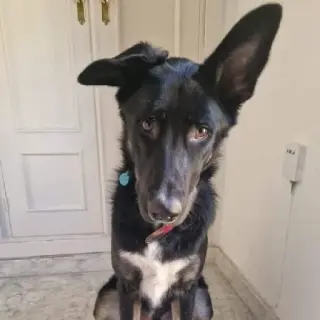 Bingo