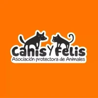 Canis y Felis