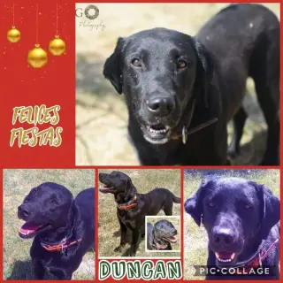 Duncan