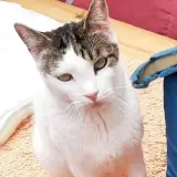 Adopta a Marzo