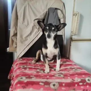 Coco